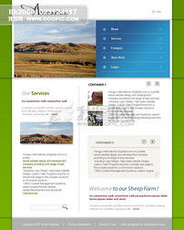 欧美公司模板图片素材PSD下载及企业网站设计指南