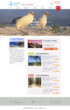 阿湛与ZCOOL 探索动漫设计的精彩世界